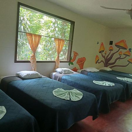 El Panchan Palenque Extérieur photo